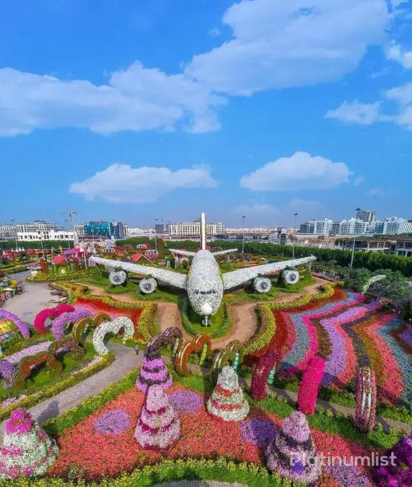 Combo: IMG Park + Global village + Miracle Garden - Image 8